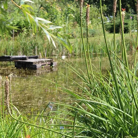 Apartament Różanka Radomierz