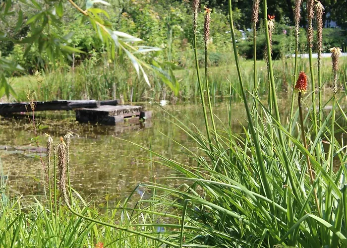 Apartment Rozanka Radomierz